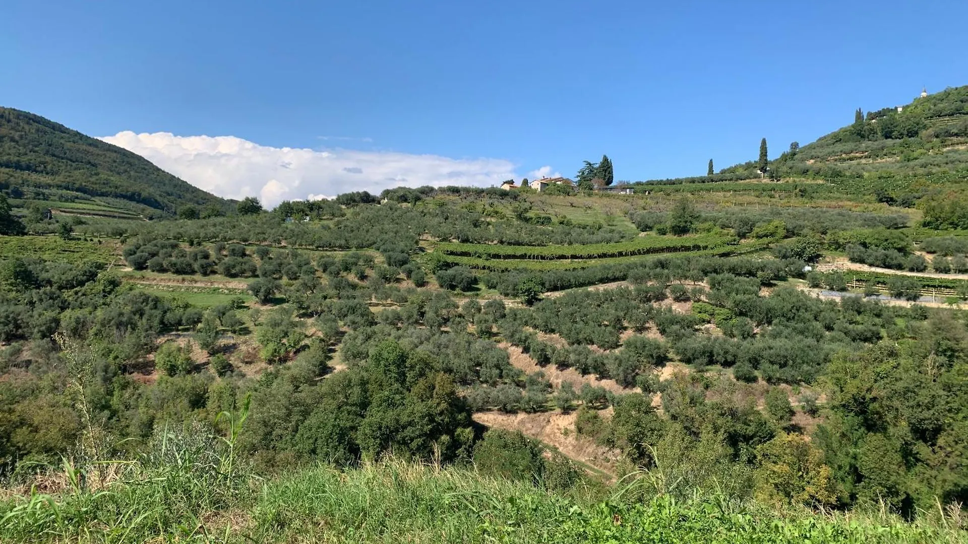 La Volpe E L'Iris By Holiday World Casa Allegri